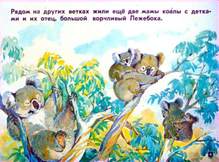 Кадр 4 диафильма «Мы живем в Австралии»