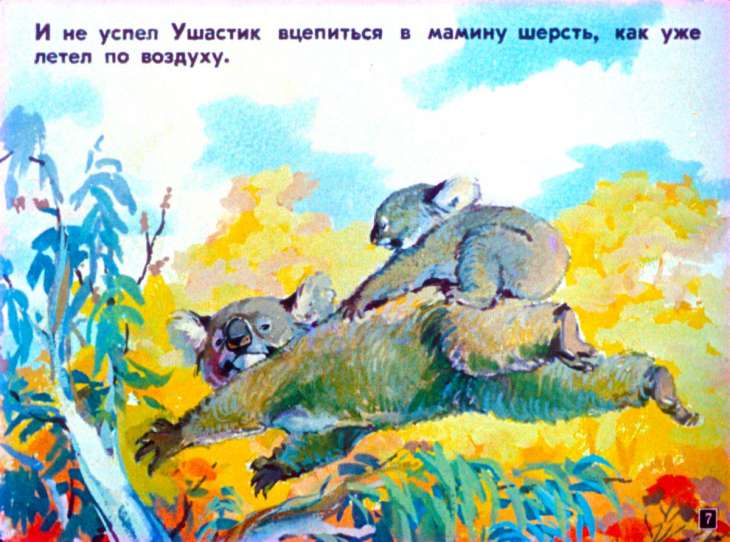 Кадр 7 диафильма «Мы живем в Австралии»