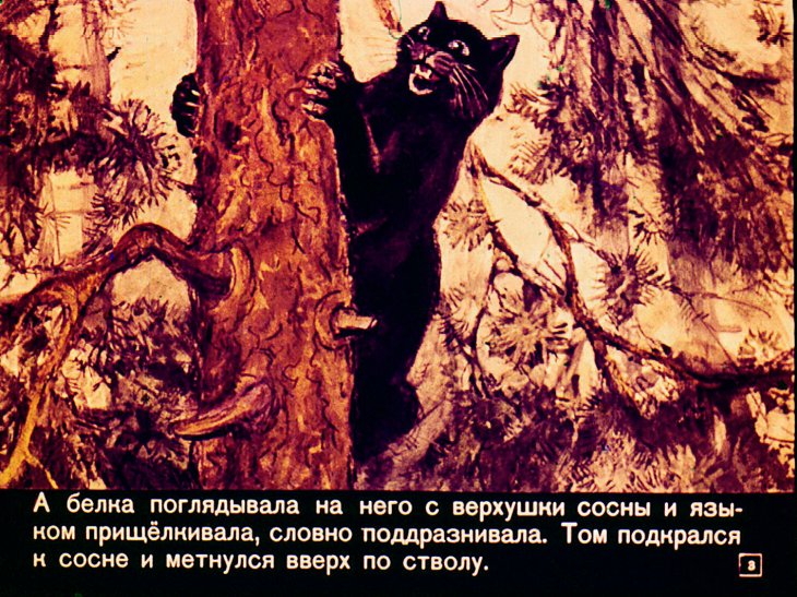 Кадр 3 диафильма «Том в горах»