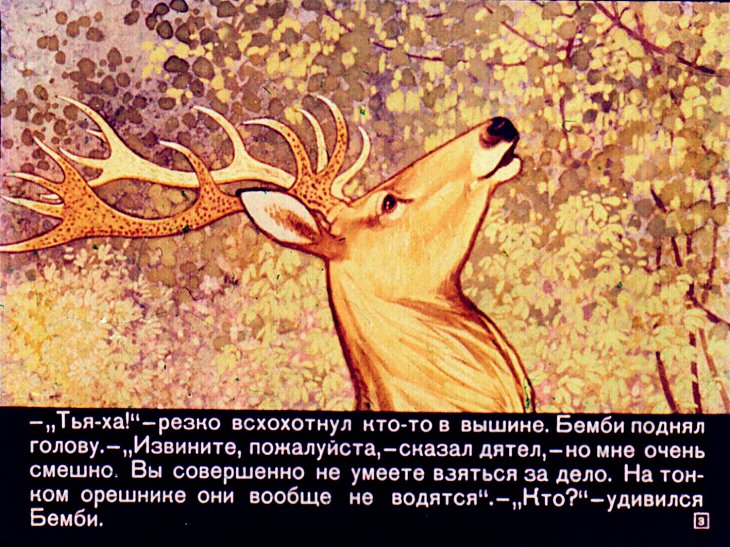 Кадр 3 диафильма «Юность и зрелые годы Бемби»