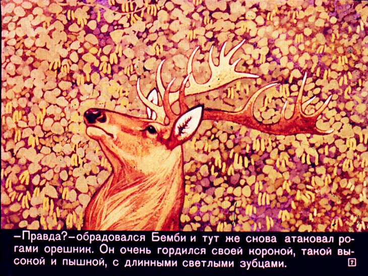 Кадр 7 диафильма «Юность и зрелые годы Бемби»