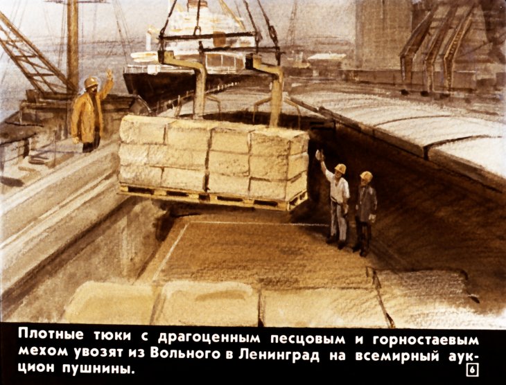 Кадр 6 диафильма «Шутка»