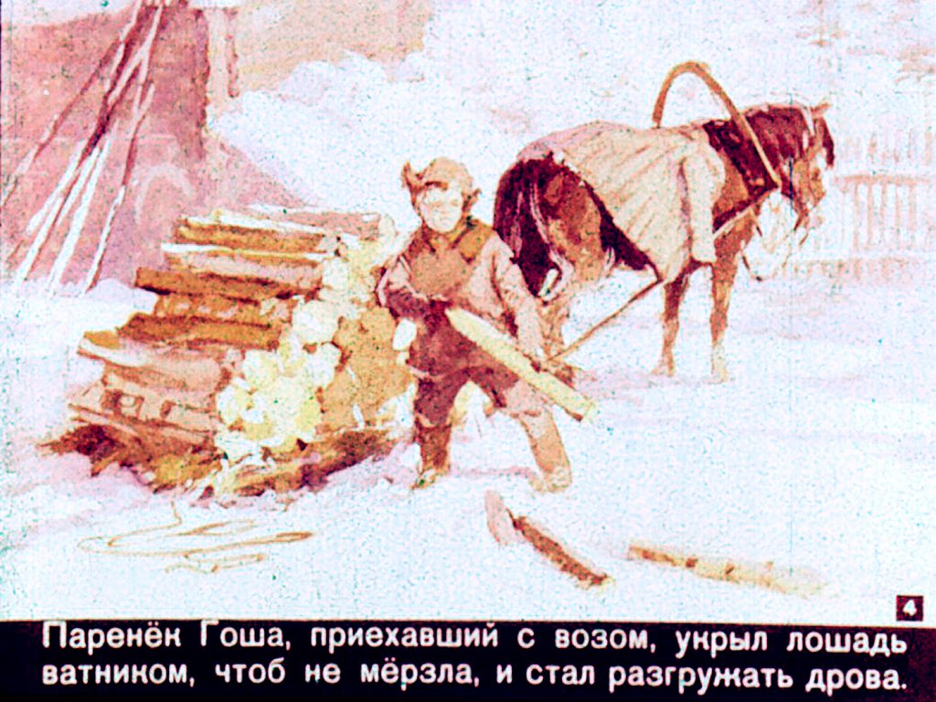 Кадр 4 диафильма «Почему дятлу не холодно?»