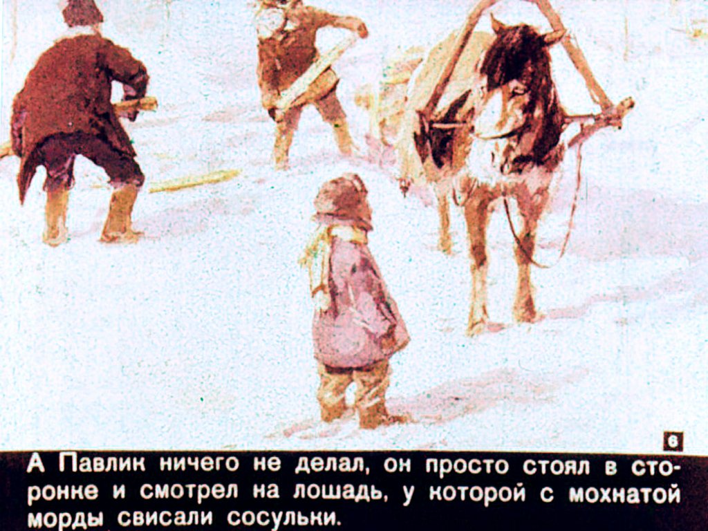 Кадр 6 диафильма «Почему дятлу не холодно?»