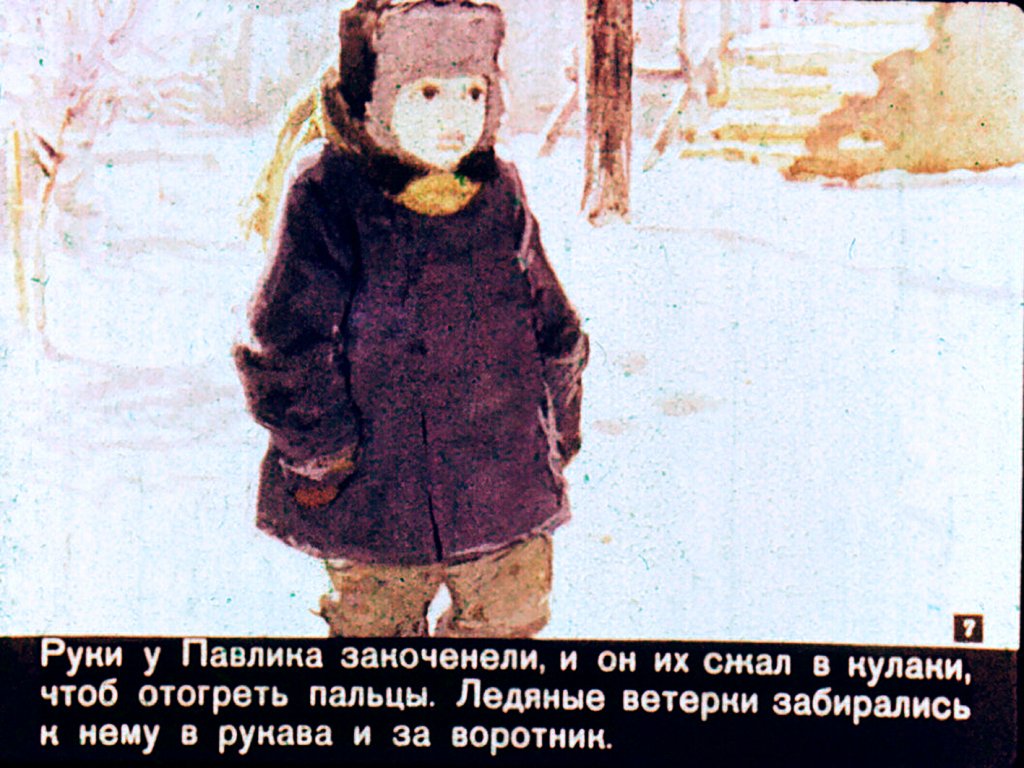 Кадр 7 диафильма «Почему дятлу не холодно?»