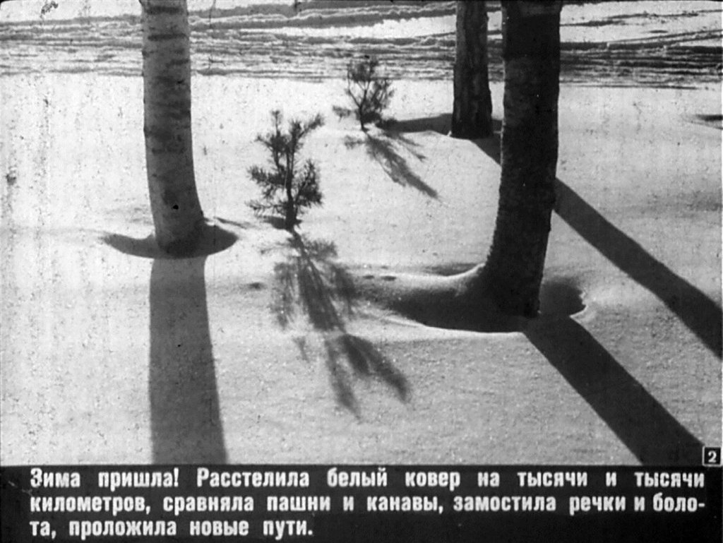 Кадр 2 диафильма «Погожим зимним днем»