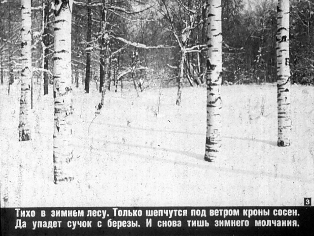 Кадр 3 диафильма «Погожим зимним днем»