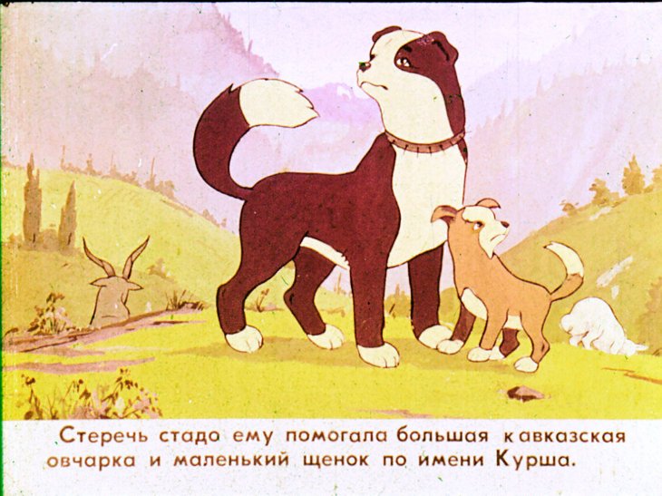 Кадр 4 диафильма «Курша»
