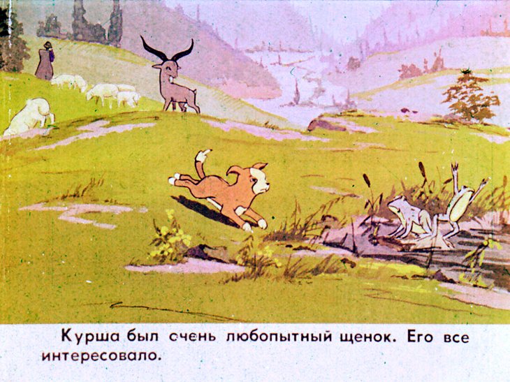 Кадр 5 диафильма «Курша»