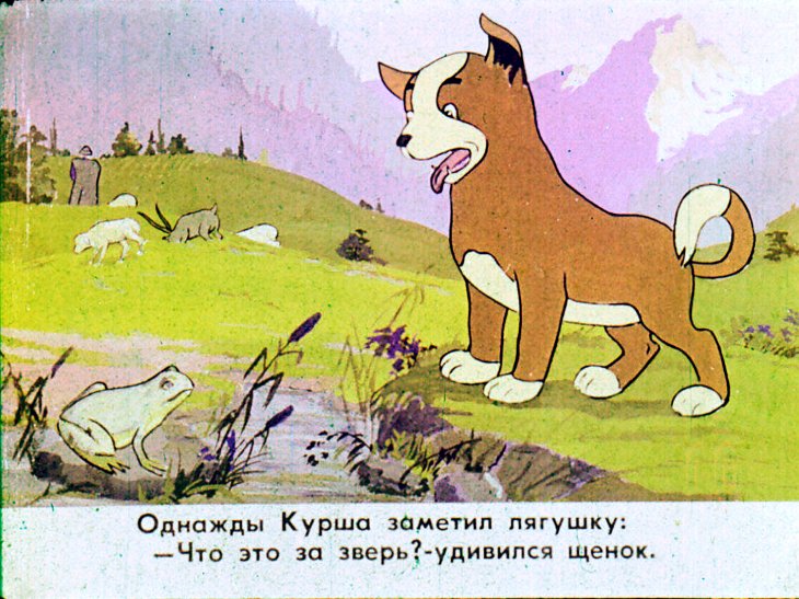 Кадр 6 диафильма «Курша»