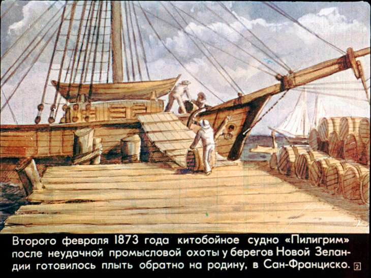 Кадр 2 диафильма «Пятнадцатилетний капитан. Часть 1»