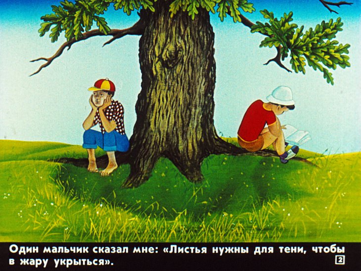 Кадр 2 диафильма «Для чего деревьям листья?»