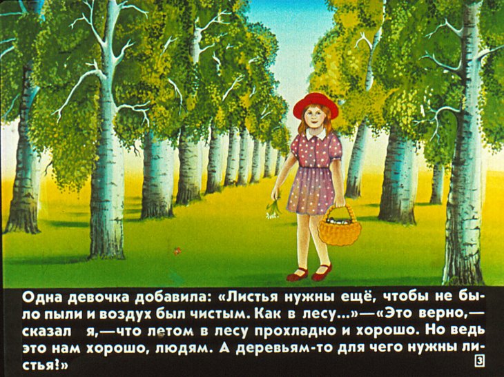 Кадр 3 диафильма «Для чего деревьям листья?»