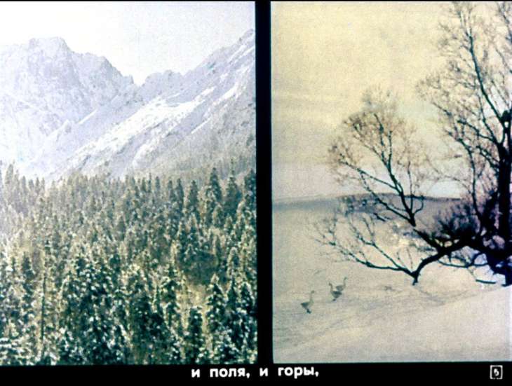 Кадр 5 диафильма «Идет волшебница зима»