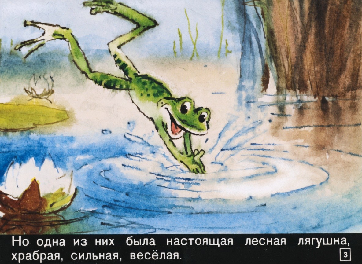 Кадр 3 диафильма «Две лягушки»
