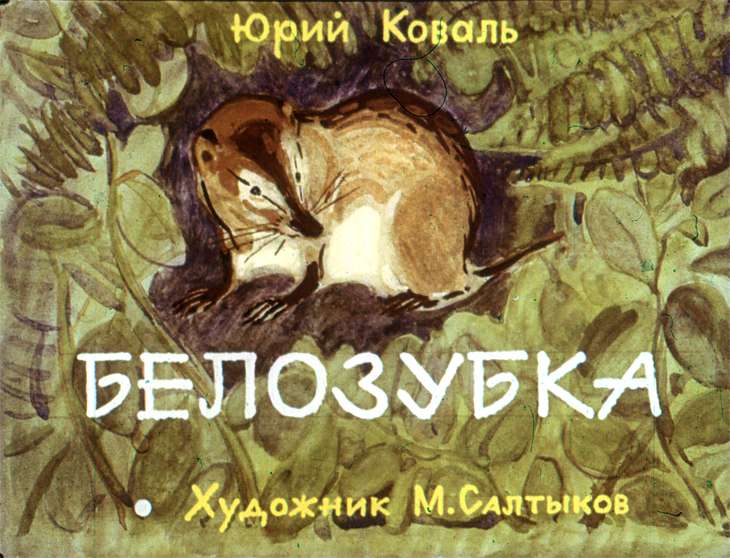 Кадр 1 диафильма «Белозубка»