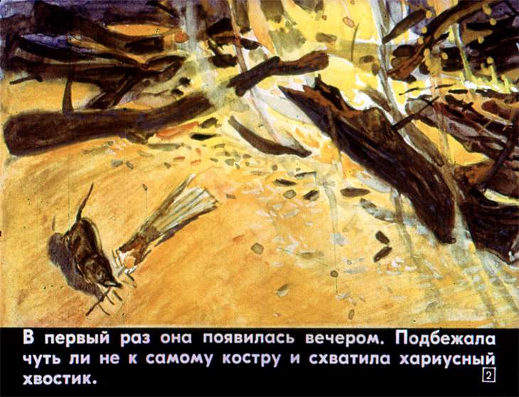 Кадр 2 диафильма «Белозубка»