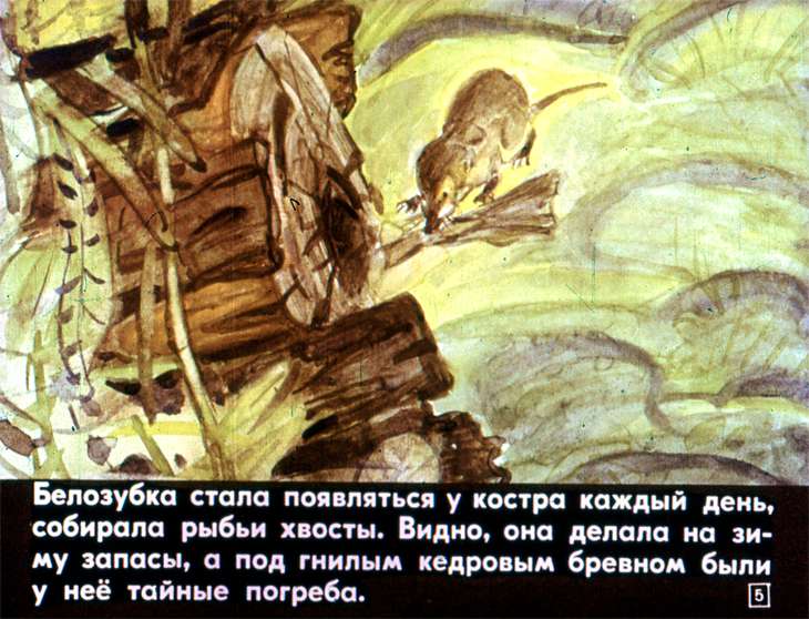 Кадр 5 диафильма «Белозубка»