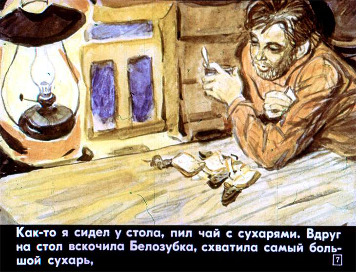 Кадр 7 диафильма «Белозубка»