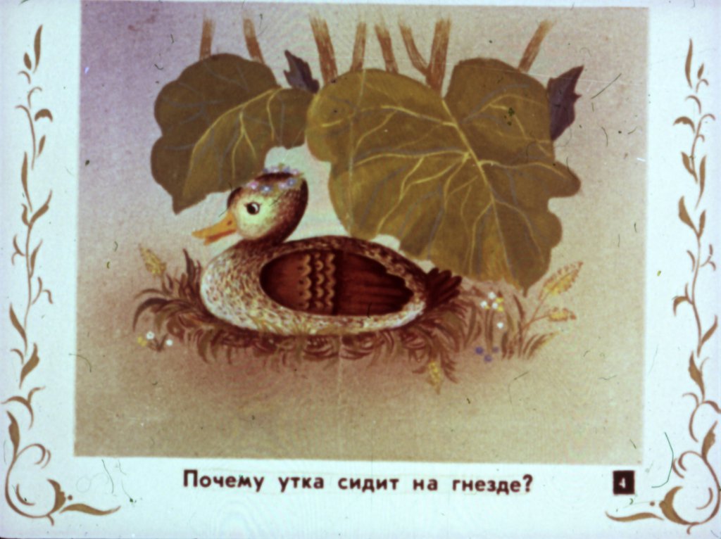 Кадр 4 диафильма «Сказка про гадкого утенка»