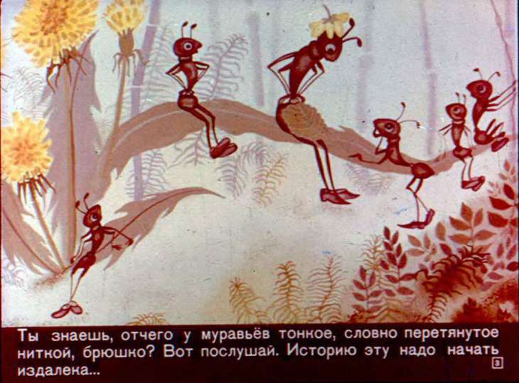 Кадр 3 диафильма «Отчего? Почему? Как?»
