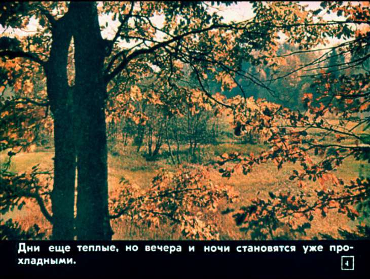 Кадр 4 диафильма «Уж небо осенью дышало»
