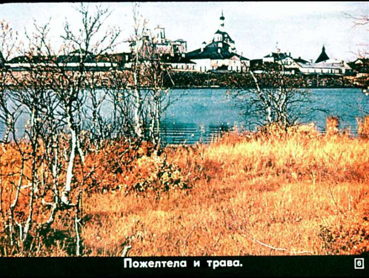 Кадр 6 диафильма «Уж небо осенью дышало»