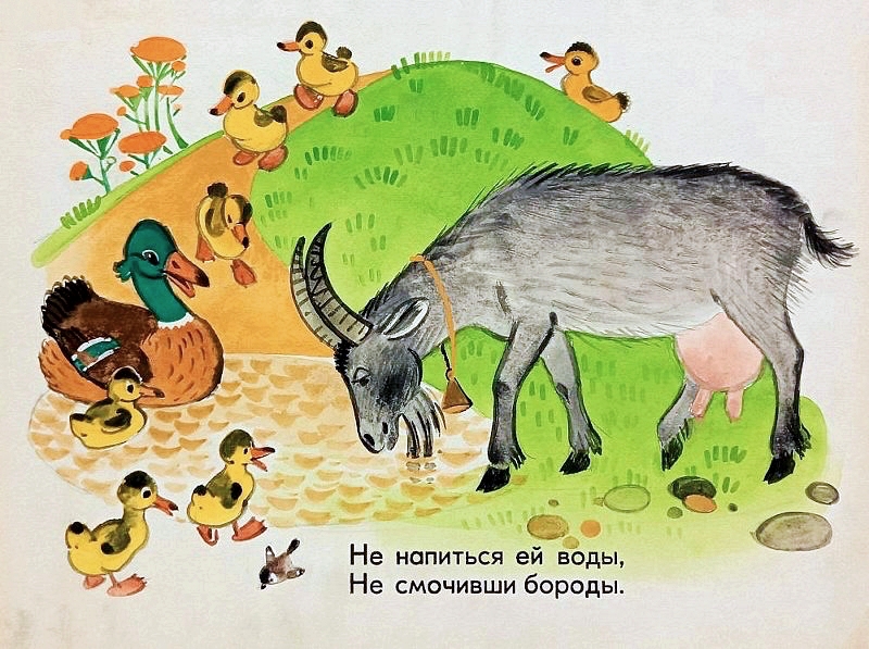 Кадр 4 диафильма «Кто живет у нас в сарае»
