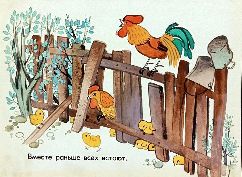 Кадр 7 диафильма «Кто живет у нас в сарае»