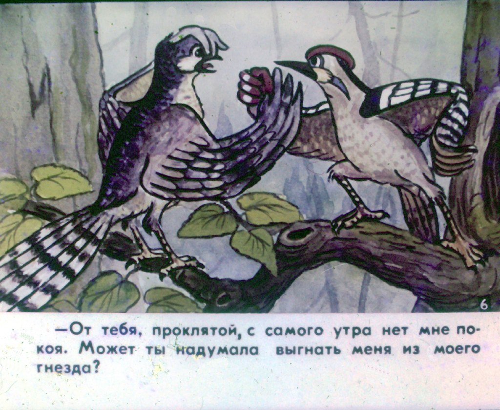 Кадр 7 диафильма «Кукушка. Часть 1»
