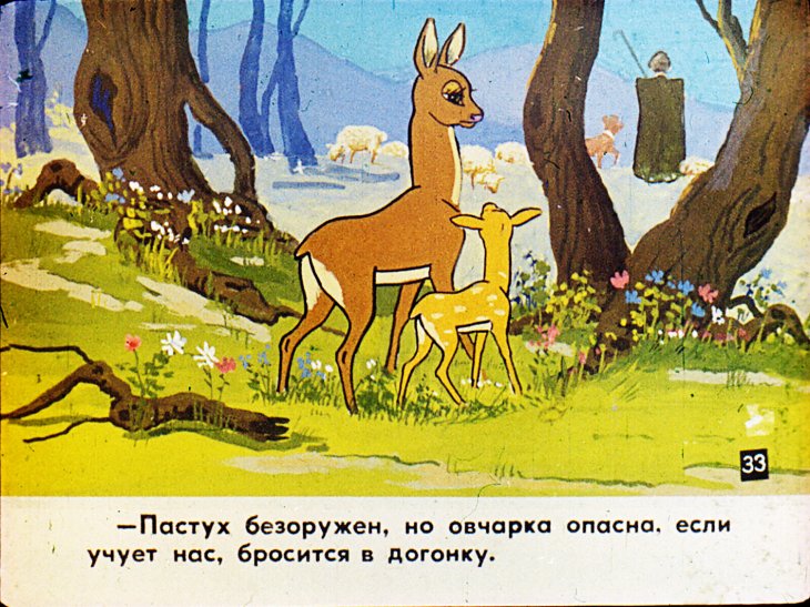 Кадр 7 диафильма «Сирота. Часть 2»