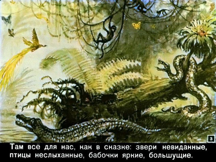 Кадр 3 диафильма «Сюн и Кунг»