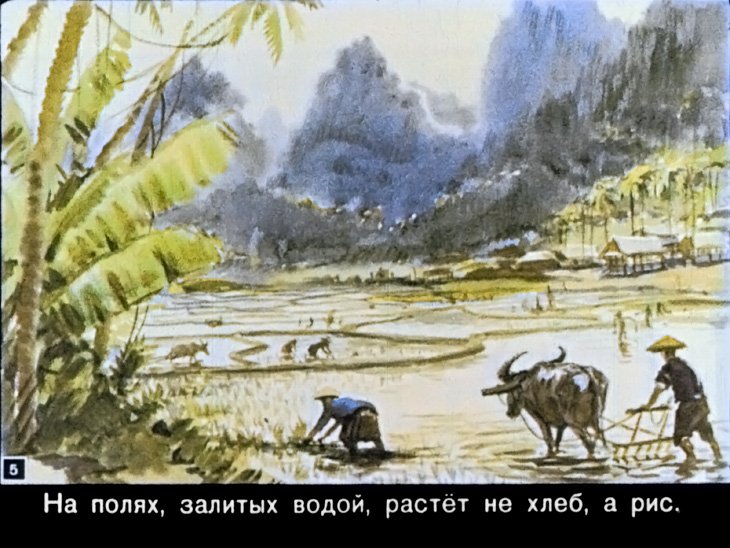 Кадр 5 диафильма «Сюн и Кунг»