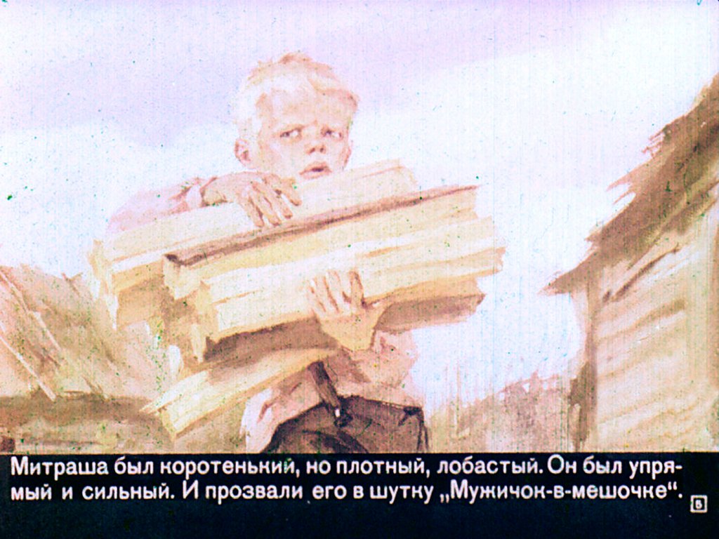 Кадр 5 диафильма «Кладовая солнца»