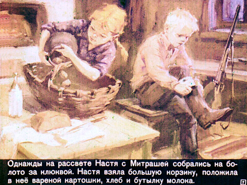 Кадр 7 диафильма «Кладовая солнца»