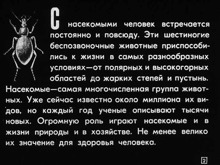 Кадр 2 диафильма «Хищные жуки, муравьи, наездники»