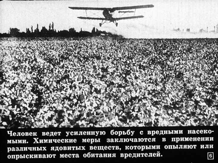 Кадр 6 диафильма «Хищные жуки, муравьи, наездники»