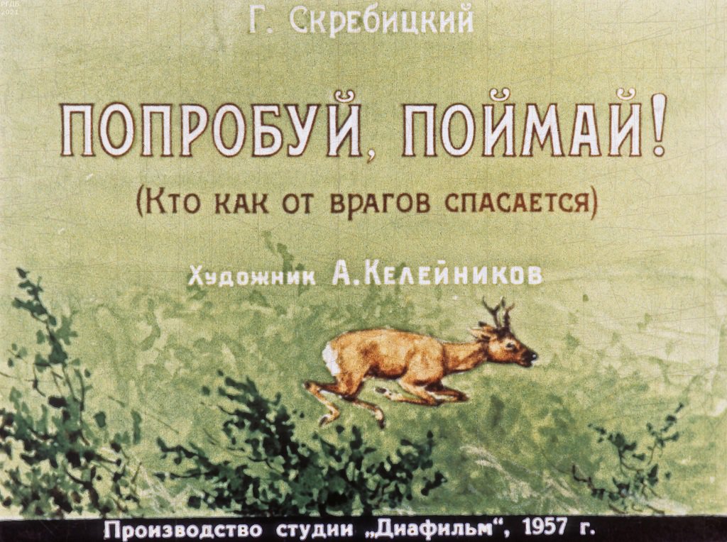 Кадр 1 диафильма «Попробуй, поймай!»