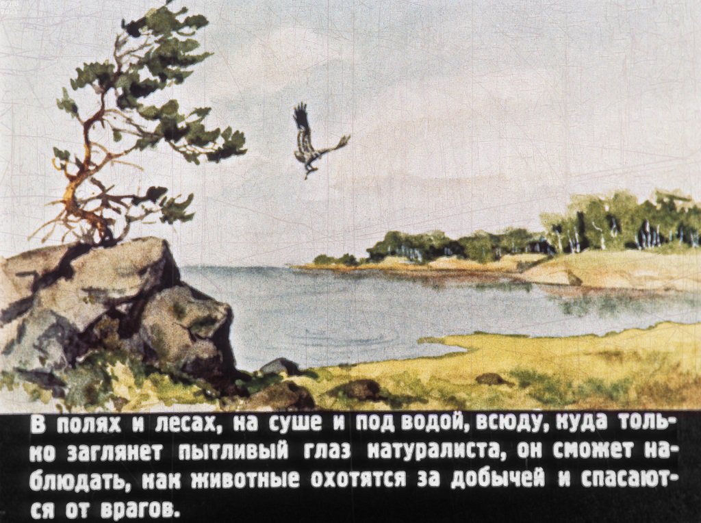 Кадр 2 диафильма «Попробуй, поймай!»