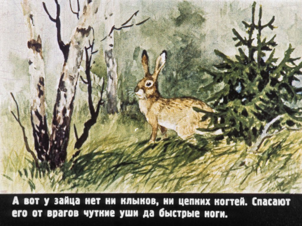 Кадр 4 диафильма «Попробуй, поймай!»