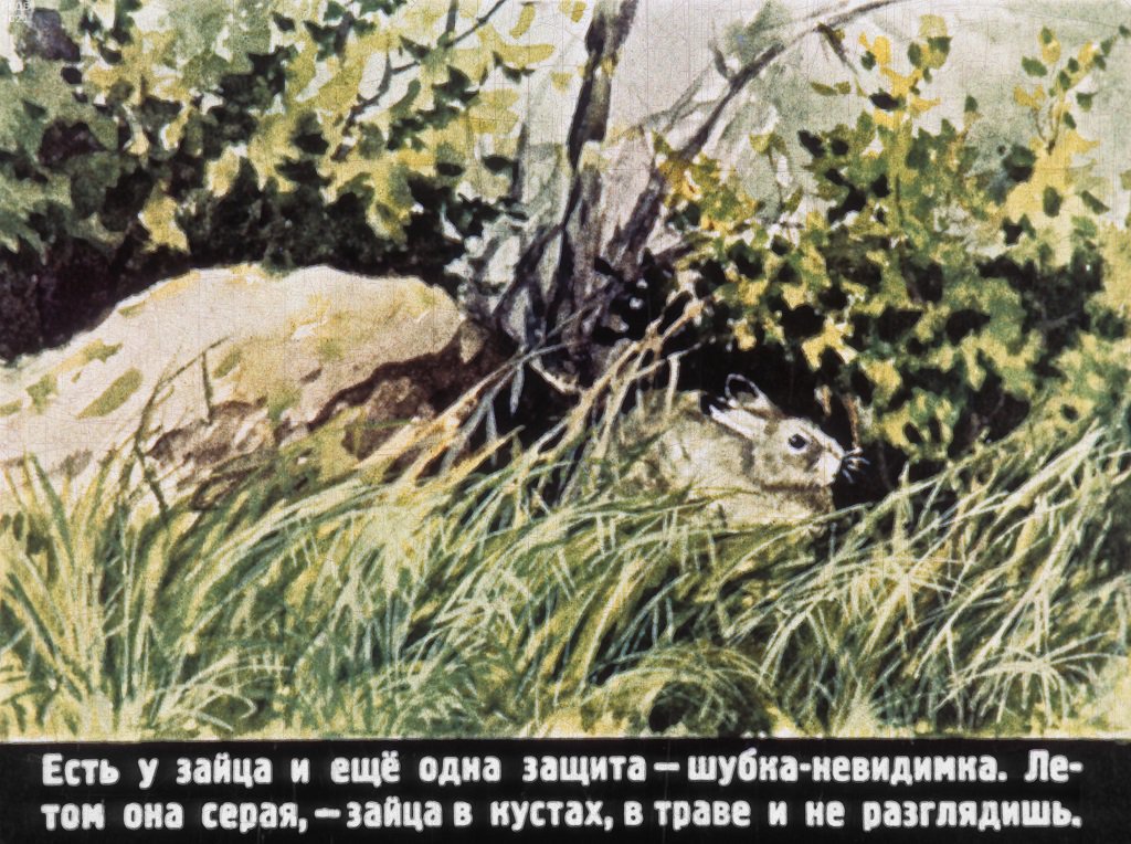 Кадр 5 диафильма «Попробуй, поймай!»