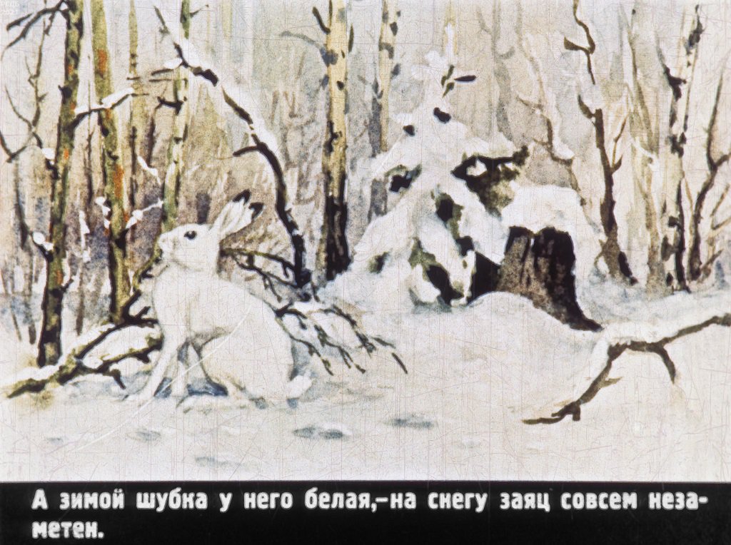 Кадр 6 диафильма «Попробуй, поймай!»