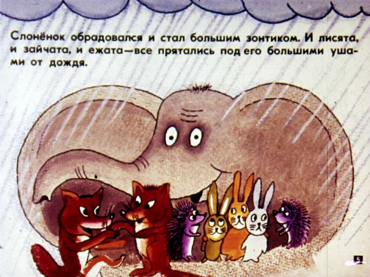 Кадр 5 диафильма «Жил на свете слоненок»