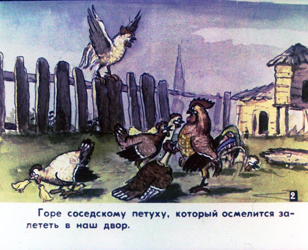 Кадр 4 диафильма «Наш петух. Часть 1»