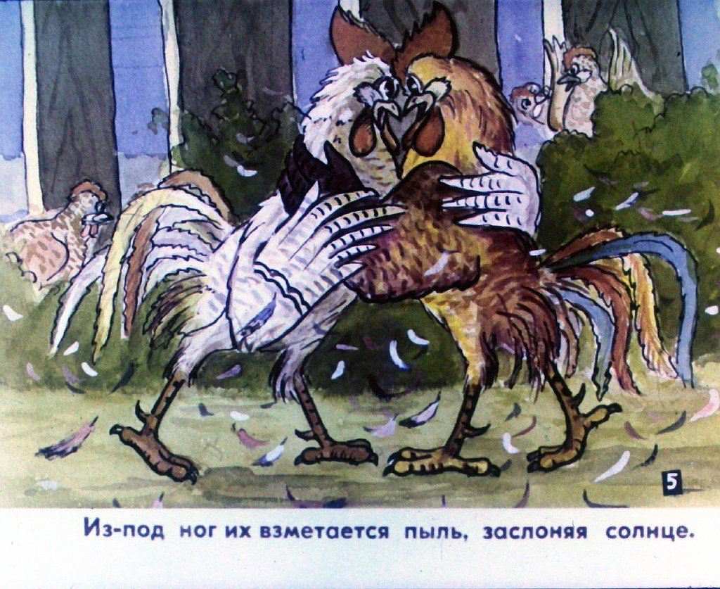 Кадр 7 диафильма «Наш петух. Часть 1»