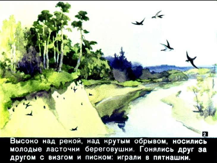 Кадр 2 диафильма «Лесные домишки»