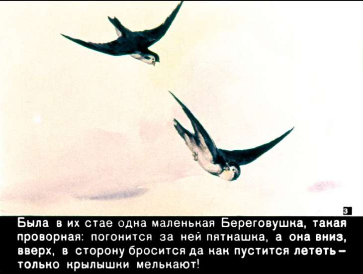 Кадр 3 диафильма «Лесные домишки»