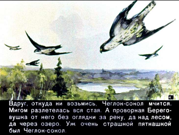 Кадр 4 диафильма «Лесные домишки»