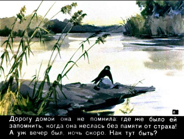 Кадр 6 диафильма «Лесные домишки»