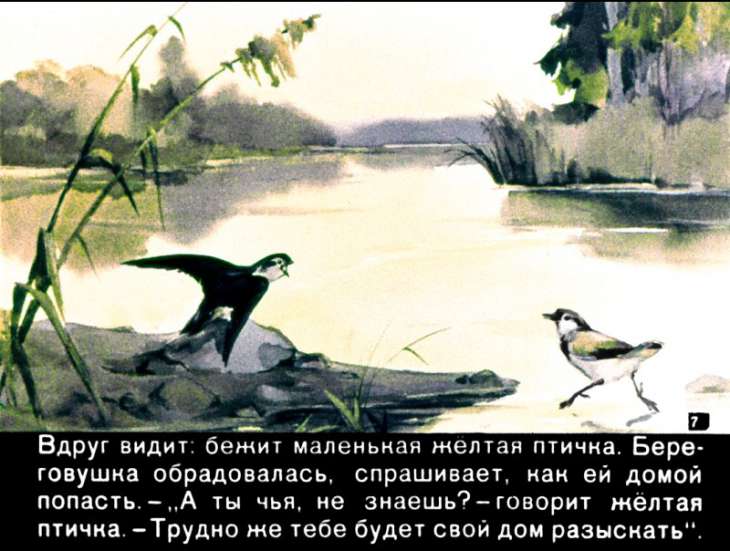 Кадр 7 диафильма «Лесные домишки»